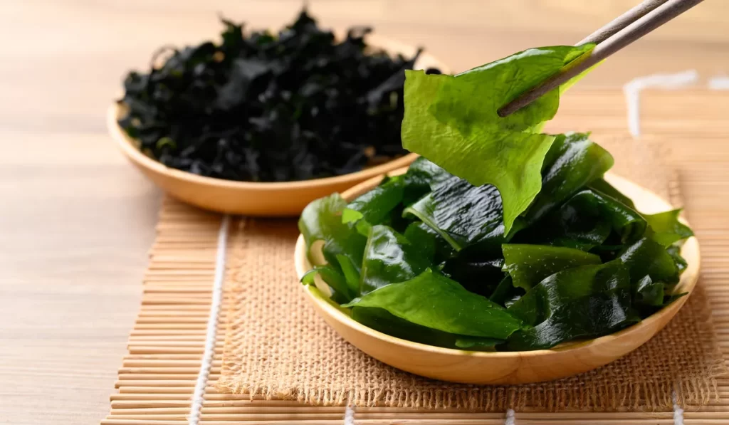 Wakame seaweed
